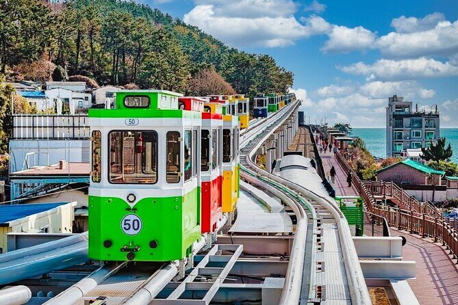 Full-Day Busan Highlights Private Guided Tour - A 9.5-Hour Private Busan Circuit That Actually Makes Sense