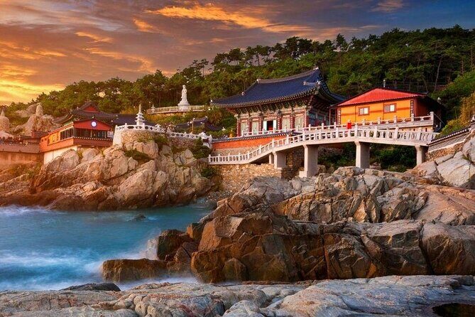 Full-Day Busan Highlights Private Guided Tour - Haeundae Blue Line Park: One-Way Capsule Views Along the Coast