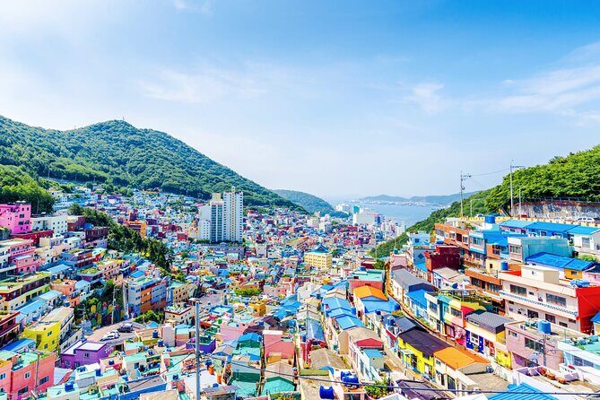 Full-Day Busan Highlights Private Guided Tour - Haedong Yonggungsa Temple: Ocean Views and a Goryeo-Era Origin