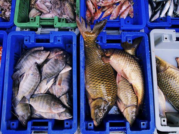 Full-Day Culinary Tour of Seoul Including Noryangjin Fish Market and Korean BBQ Dinner - Key highlights to know before you go