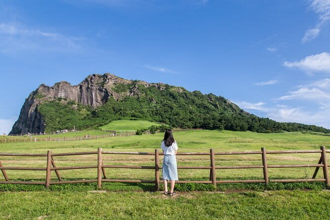 Full-day Customizable Private Jeju Island Tour - Key Takeaways Before You Go