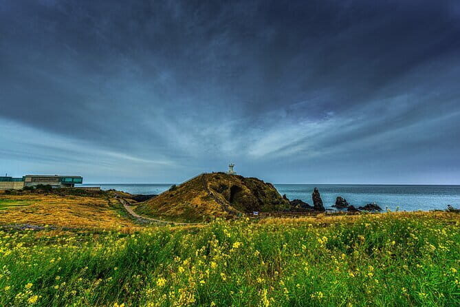 Full-Day Jeju Island UNESCO Tour for Cruise Layover Guests - Port pickup: what makes this feel like a cruise shore excursion