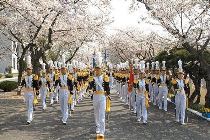Full-Day Jinhae Cherry Blossom festival Private tour - Price and value: what $300 buys on a long blossom day