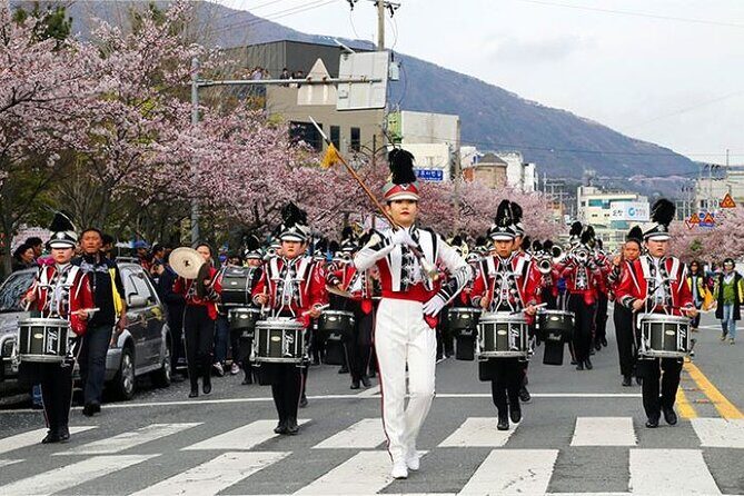 Full-Day Jinhae Cherry Blossom festival Private tour - Yeojwacheon Stream and Jangboksan Sculpture Park: where the day feels most scenic