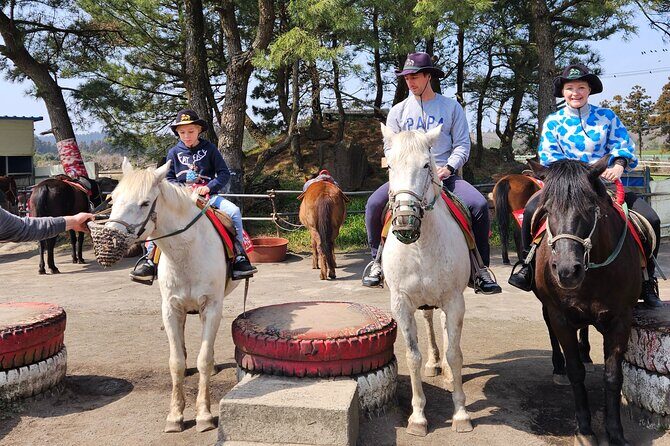 Full-Day Private Tour in Jeju Island - Eoseungsaengak oreum climb: light hiking with distant island views