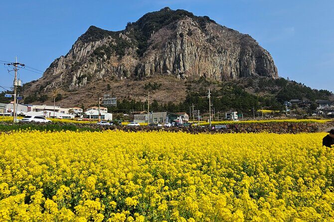 Full-Day Private Tour in Jeju Island - Yongmeori Coast: sandstone cliffs carved into strange, movie-ready shapes