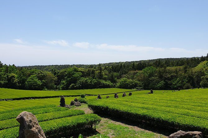 Fully Customizable Private Tour of Jeju Island - Manjanggul Lava Tube: the UNESCO stop that rewards good timing