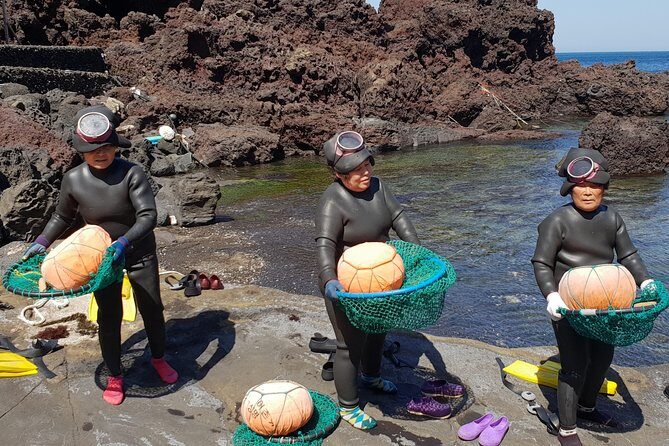 Fully Customizable Private Tour of Jeju Island - Haenyeo homes and museum-style stops: where Jeju’s daily life shows up