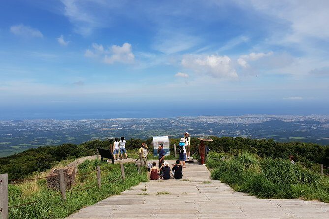 Fully Customizable Private Tour of Jeju Island - Folk Village, cafés, and side quests like tangerines