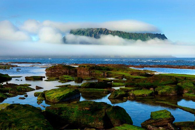 Fully Customizable Private Tour of Jeju Island - Horseback riding and Olle trail hikes: choose your energy level
