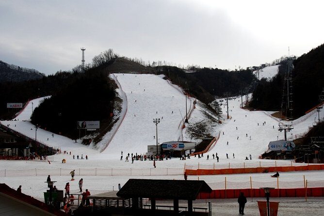 Gangchon Elysian Ski Day Trip from Seoul - Shopping add-ons and the Jisan backup resort