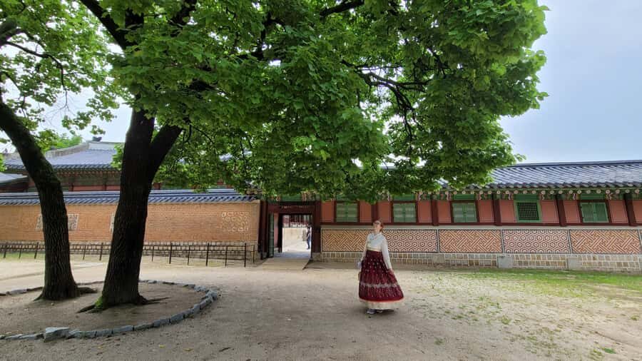 Gyeongbokgung Palace, Jogyesa Temple and Cheongwadae Tour - Gyeongbokgung Palace: where palace rules shape your understanding