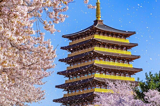 Gyeongju Cherry Blossom Day Tour from Busan (2~3 spring spots) - Key things that make this tour worth your time