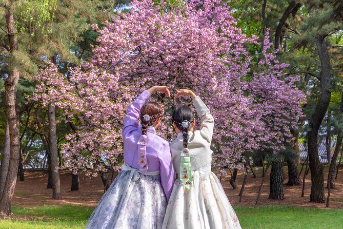 Gyeongju Cherry Blossom Day Tour from Busan (2~3 spring spots) - Stop-by-stop: what you’ll actually do once you reach Gyeongju