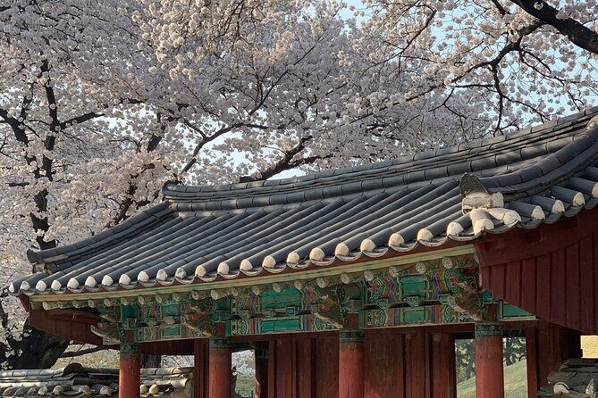 Gyeongju Cherry Blossom Day Tour from Busan (2~3 spring spots) - Price and value: why $55 can make sense for a full spring day