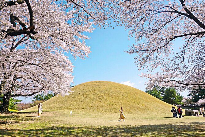 Gyeongju Cherry Blossom Day Tour from Busan (2~3 spring spots) - Busan to Gyeongju: timing, group size, and the mobile ticket convenience