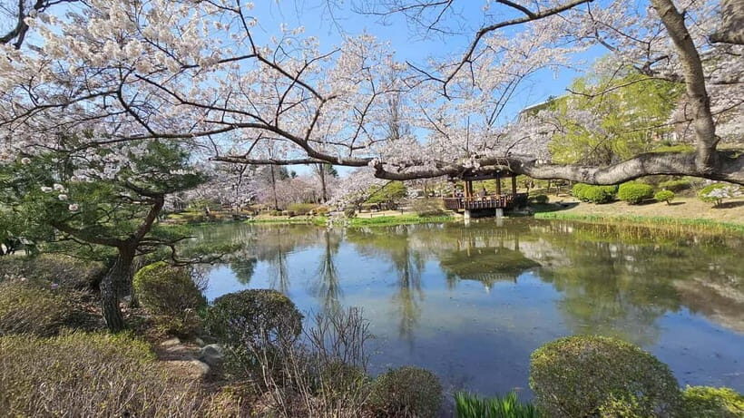 Gyeongju: Private Car Charter Taxi Tour - Adding texture: Kyochon Village, Woljeonggyo, museums, and Hwangridan-gil