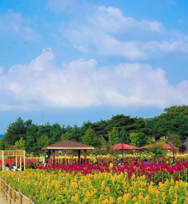Hantan Canyon & Goseokjeong Flower Garden & Pink Muhly Park - Goseokjeong Flower Garden: Seasonal Blooms and a Short Garden Train