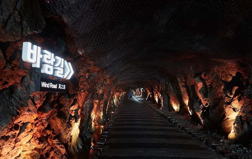 Hwaseong Fortress+Gwangmyeong Cave+Starfield Library Tour - Starfield Library Suwon: where modern design meets a guided visit