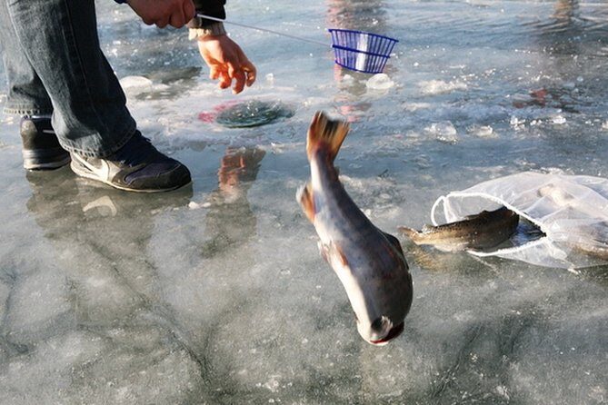 Ice Fishing Tour - Hwacheon Sancheoneo Ice Festival Day Trip from Seoul - The festival day: trout ice fishing plus winter activities