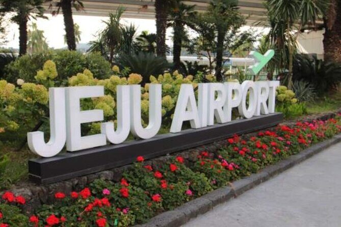 Jeju Airport Transfer - Who this Jeju Airport Transfer is best for
