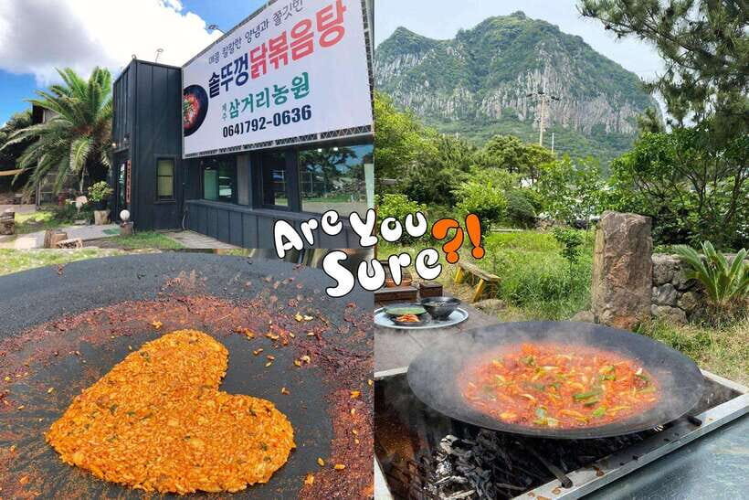 Jeju: BTS Are You Sure?! Filming Locations Private Taxi Tour - 5-hour vs 8-hour: how the timing changes your day