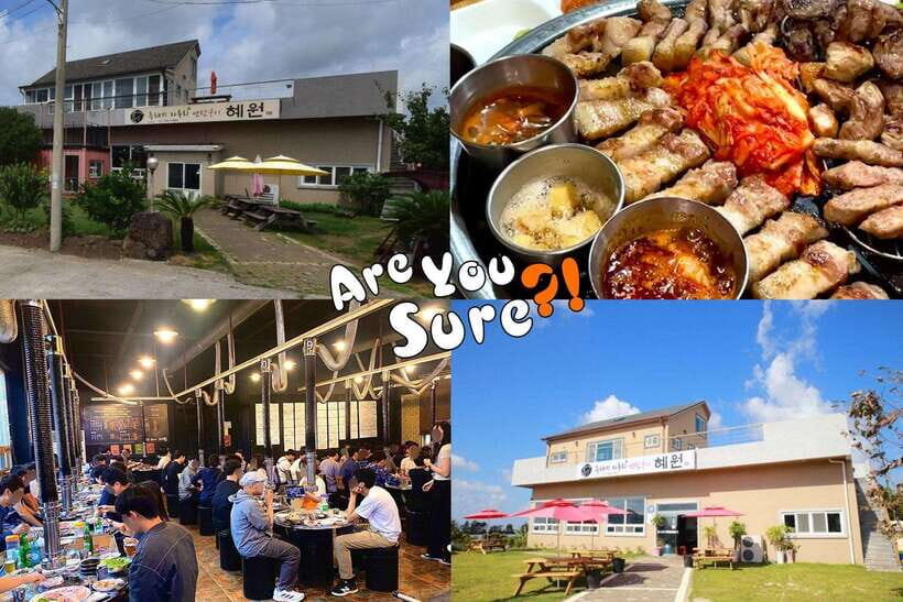 Jeju: BTS Are You Sure?! Filming Locations Private Taxi Tour - Route plan for a full 8-hour day across the island