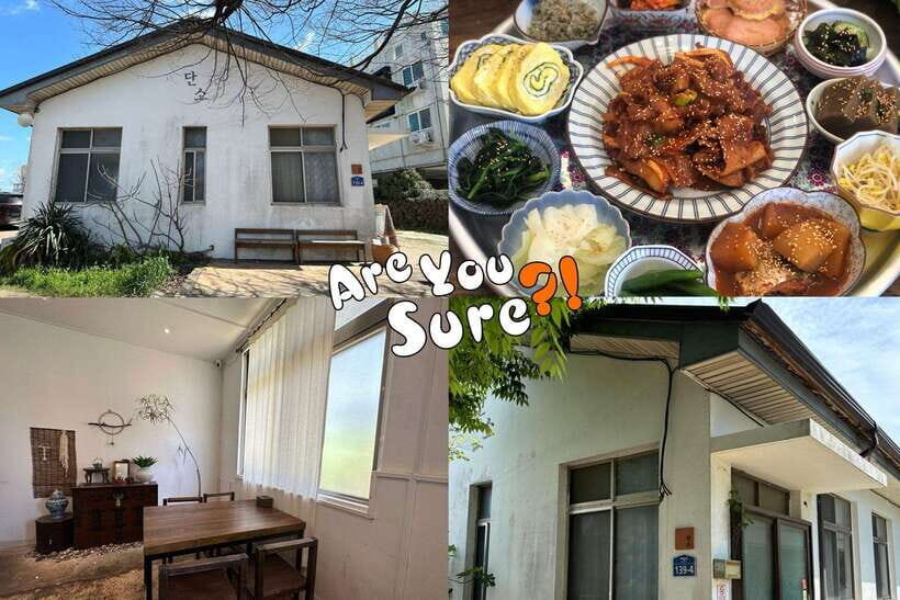 Jeju: BTS Are You Sure?! Filming Locations Private Taxi Tour - The driver factor: English support and real-world problem solving