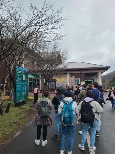 Jeju: Cherry Blossom South & West Day Tour with Hotel Pickup - Key highlights before you plan your day