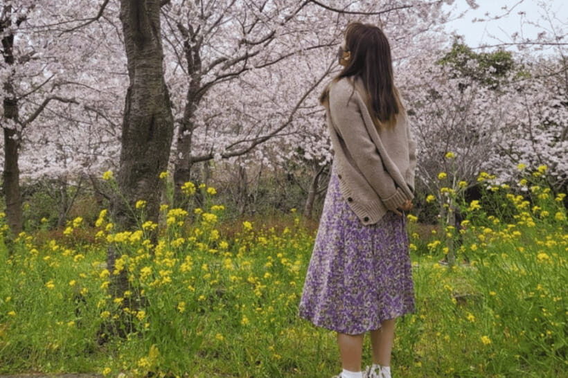 Jeju: Cherry Blossom South & West Day Tour with Hotel Pickup - Coastal driving along Nonjitmul and Yongmeori for sea-breeze moments