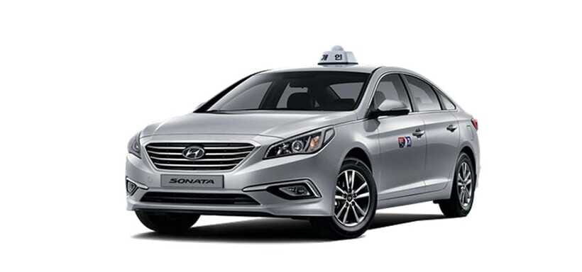 Jeju Cruise Shore Excursion Private Taxi Tour Car Charter - The Driver Experience: English Support and Photo Stops Done Right