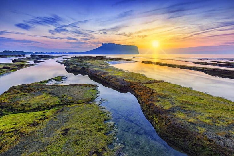 Jeju Customized private vehicle day tour - Key Things That Make This Jeju Private Day Work
