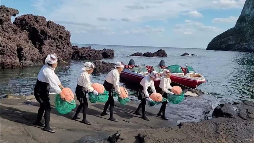 Jeju Customized private vehicle day tour - Price and What You Actually Get for Up to $291 Per Group