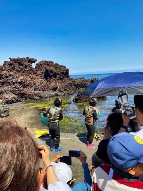 Jeju: Customized Shore Excursions For Up To 7 People - The guide factor: licensed English and the human touch