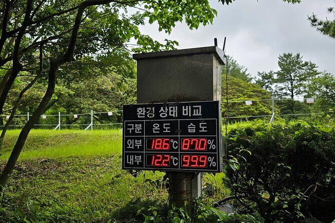Jeju Day Tour - World Heritage & UNESCO - Manjanggul Lava Tube: UNESCO Cave Temps and the Closure Reality