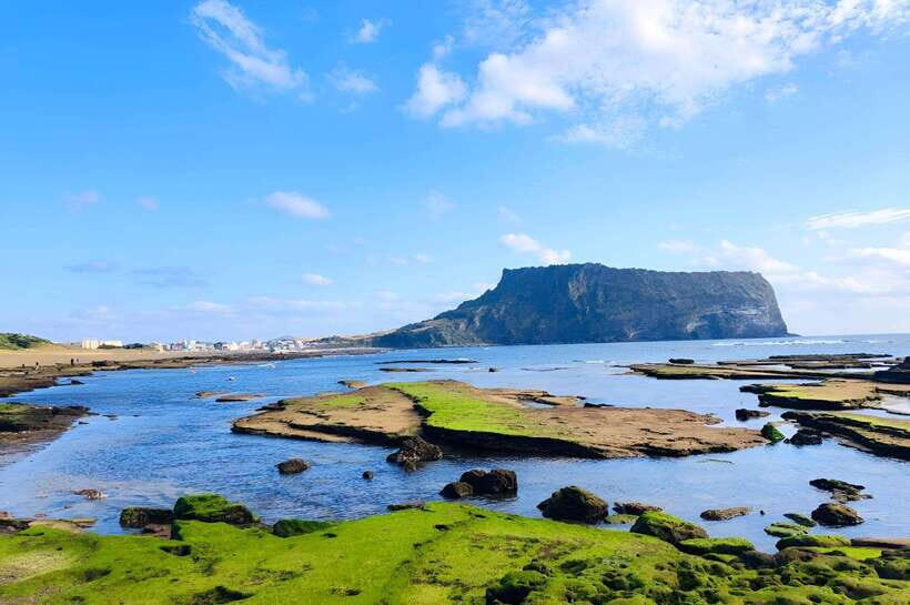 Jeju East: K-Drama Filming Spots Tour with Hotel Pickup - Price and value for a 9-hour island loop