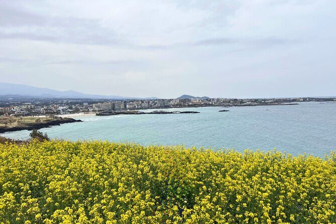 Jeju Eastern Must visit Unesco Bus Tour - Seongsan Ilchulbong tuff cone: 5000-year geology with crater-scale drama