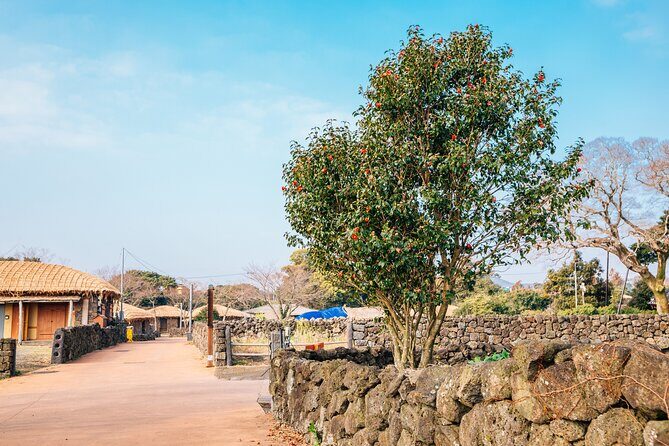 Jeju Eastern Must visit Unesco Bus Tour - Seongeup Folk Village: Jeju daily life, old houses, and local traditions