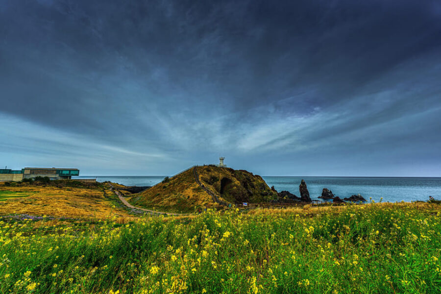 Jeju : For Cruise Guests UNESCO Highlights Jeju Island Tour - Private vehicle option: customization reality check