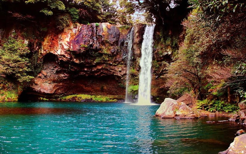 Jeju Highlights Day Trip (East Course) - Saryeoni Forest Trail: cedar shade and UNESCO-level ecology