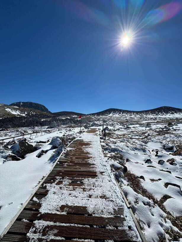 Jeju: Hiking Mt. Hallasan, South Korea's Highest Mountain - Fitness and altitude reality check: who this hike fits