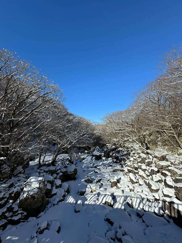 Jeju: Hiking Mt. Hallasan, South Korea's Highest Mountain - The guide experience: why the explanations change the hike