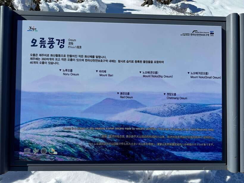 Jeju: Hiking Mt. Hallasan, South Korea's Highest Mountain - What to pack and wear: don’t let gear be the weak link
