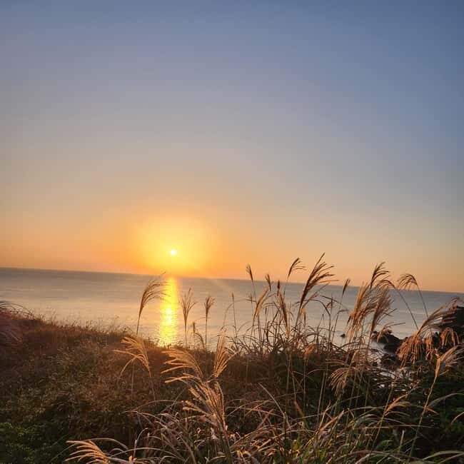 JEJU ISLAND : Higlights SUNRISE guided Tour - The guide factor: what you’ll get (and what to expect)