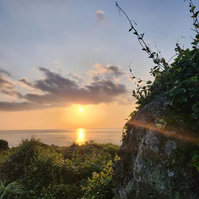 JEJU ISLAND : Higlights SUNRISE guided Tour - Who this tour is perfect for (and who should think twice)