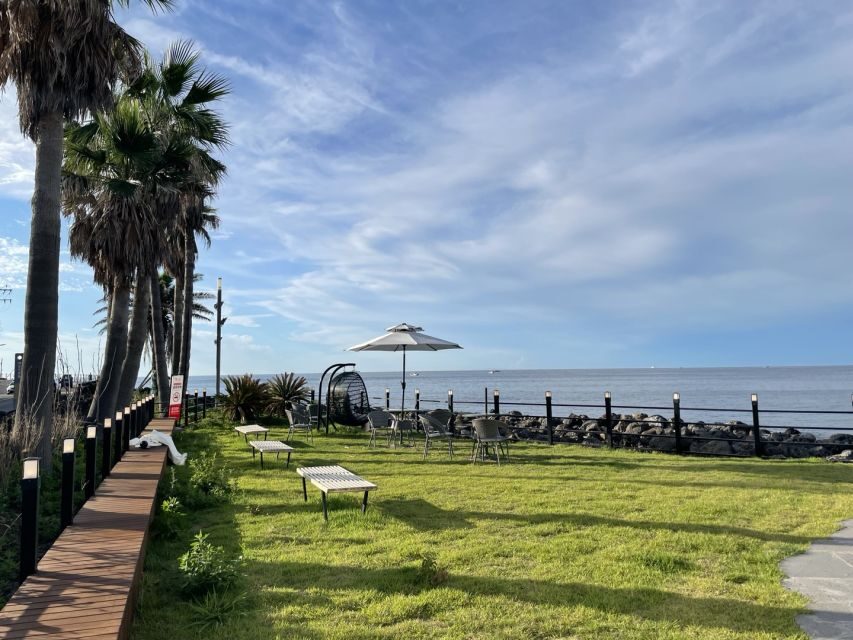 Jeju Island: Private Car Charter Tour - Western route day: Aewol seaside cafes, Hyeopjae Beach, Hallim Park, and tea-field views