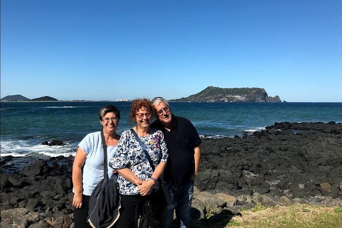 Jeju Island Private Taxi Tour : 3 Full days - Price and value: what $460 really buys you