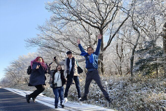Jeju island Private UNESCO Tour - For Cruise customer - Seogwipo route nature hits: Jeongbang Falls, Oedolgae, and Gwangchigi Beach