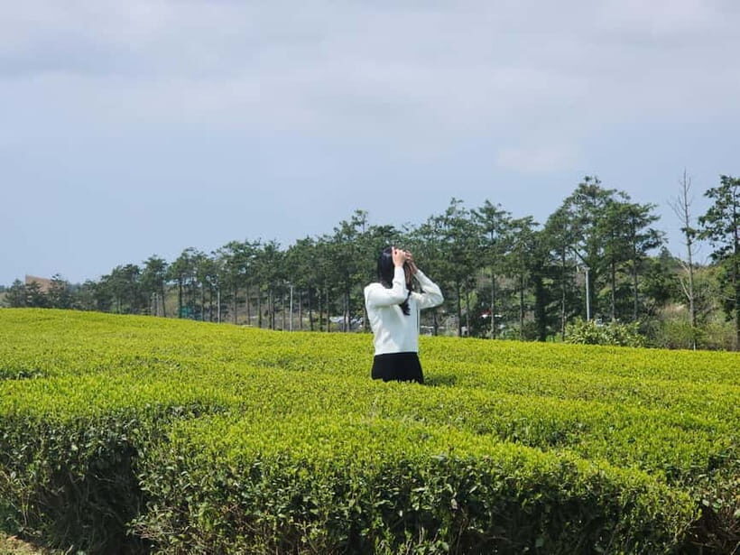 Jeju Island: Southern Top UNESCO Spots Tour - Mt. Hallasan and the Eoseungsangak Trail: your UNESCO moment starts with stairs
