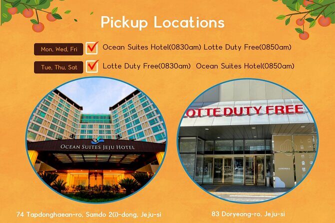 Jeju Island Taxi Join Tour - Pickup, timing, and where the day begins